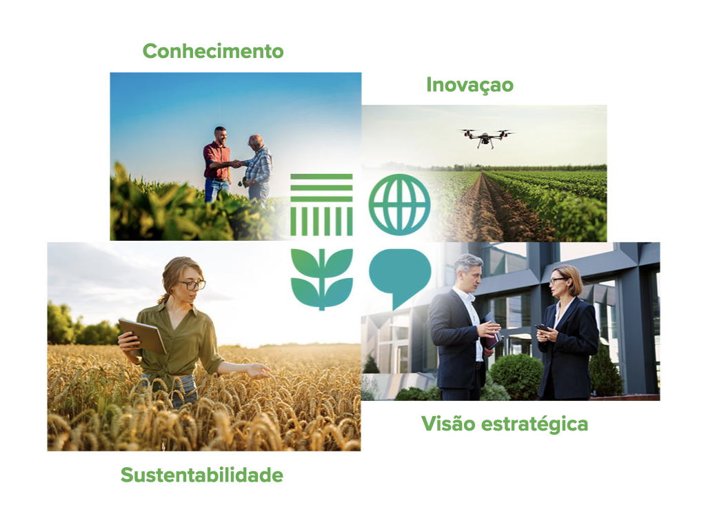Conhecimento, inovação, sustentabilidade e visão estratégica