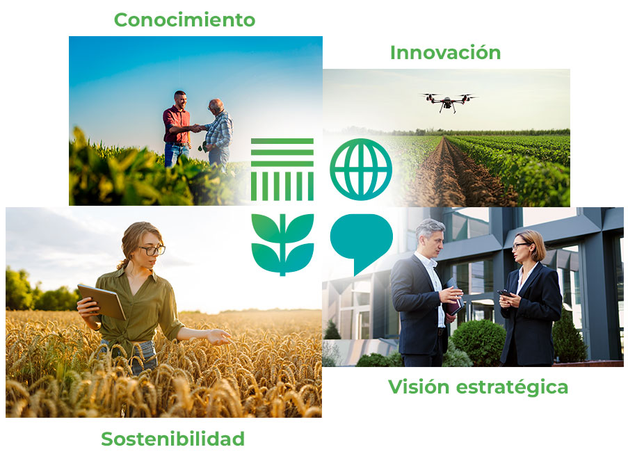 Conocimiento, innovación, sostenibilidad y visión estratégica